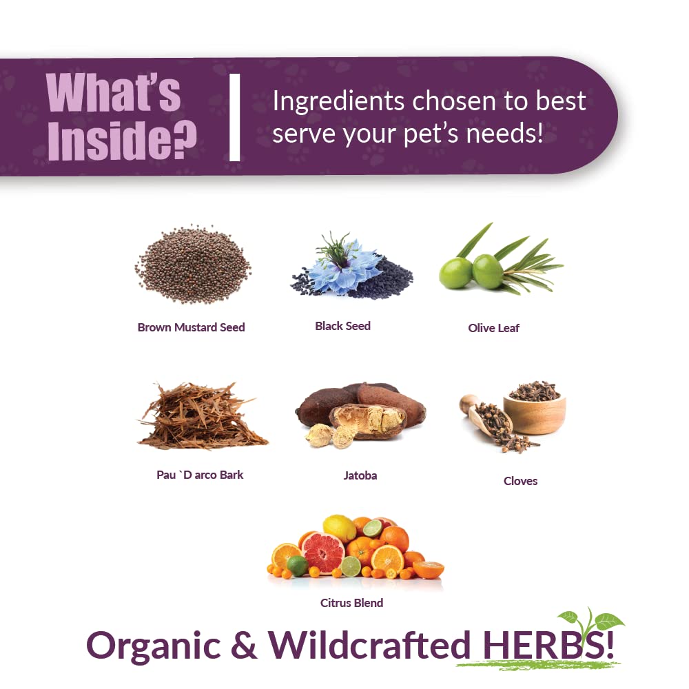 Amber NaturalZ Vibactra Plus Herbal Supplement for Dogs, Cats, Birds, Guinea Pigs, and Rabbits | Herbs for Immune Health and Yea